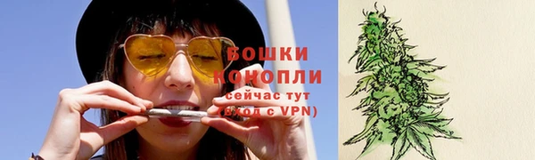 шишки Абдулино