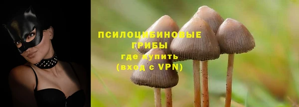 шишки Абдулино