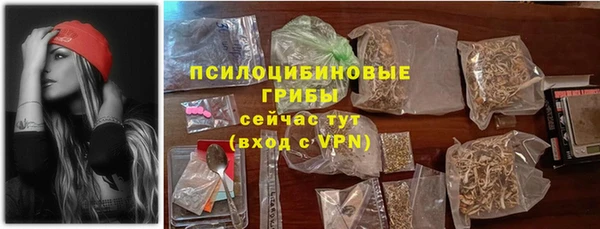 шишки Абдулино